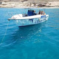 Glass Bottom Boat Tours