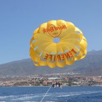 Adrenaline & Extreme