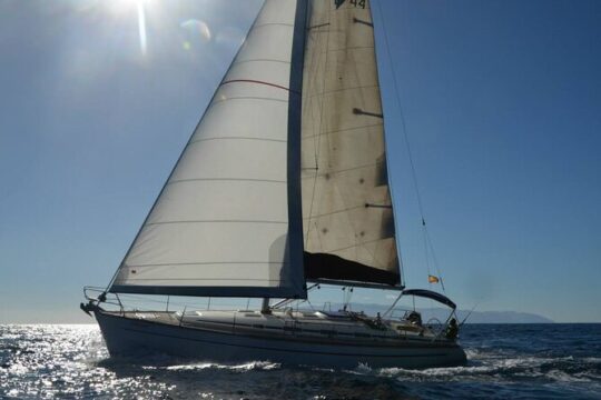 3-Hour Private Tour with Whale and Dolphin Watching