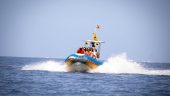 ⭐⭐⭐⭐⭐ Unforgettable Whale and Dolphin Watching with Sea Safari Tenerife