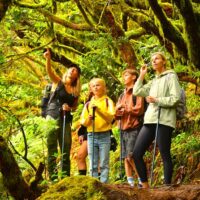 Walking & Biking Tours