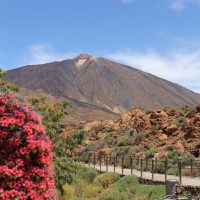 Walking Tours