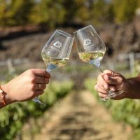 Wine Tasting & Winery Tours