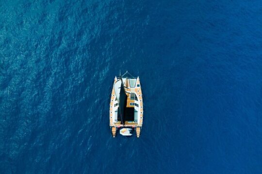 Tenerife Whale watching on private charter