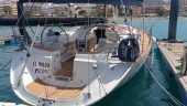 Whale watching yacht trip