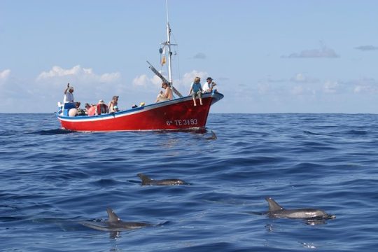 Whalewatching La Gomera