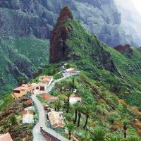 Bus & Minivan Tours