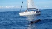 The best snorkeling experience 