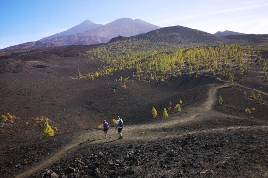 Masca - Garachico - Icod - Teide National Park