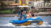 Best dolphin and whale watching tour in Tenerife, small scale & personal
