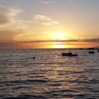 Glass Bottom Boat Tours