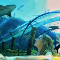 Sightseeing Tickets & Passes