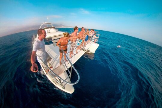 Whale and Dolphin Watching Catamaran with Transfer and Buffet