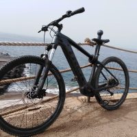 Bike Rentals