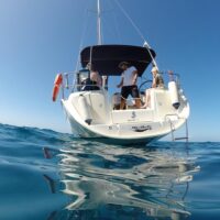 Day Cruises
