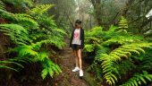 A day discovering Tenerife