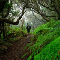 Hiking & Camping