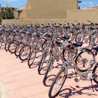 Bike Rentals