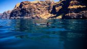 An essential excursion