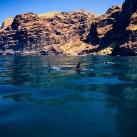 Holiday & Seasonal Tours