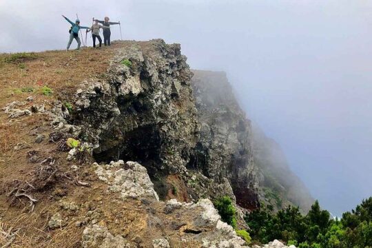 Come discover the island of El Hierro in a small group