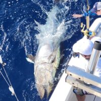 Fishing Charters & Tours