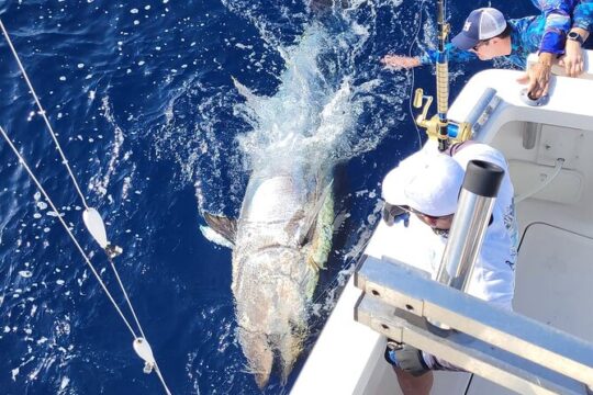 Private Fishing Charter in Tenerife South 8 Hours