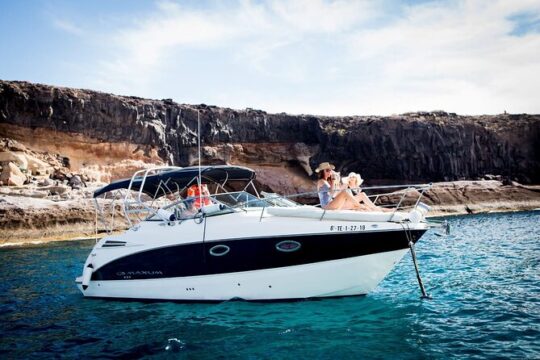 Tenerife Whale and Dolphin Watching Luxury Boat Trip