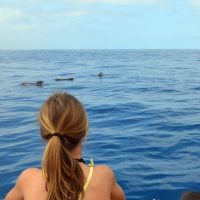 Ports of Call Tours