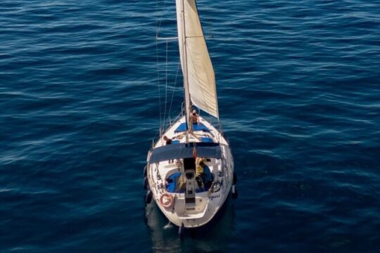 Shared Sailing Tour Discovery of Pilot Whales
