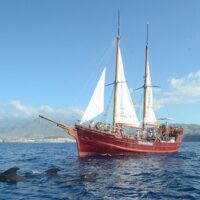 Shore Excursions