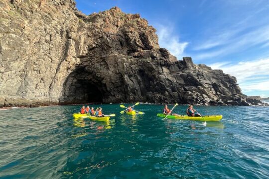 Kayaking Tour in the south of Tenerife