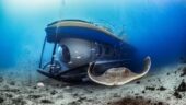 Underwater experience