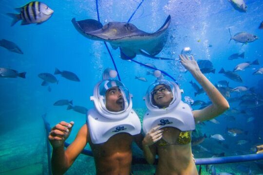 Tenerife Guided Sea Trek Underwater Walk