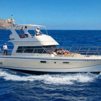 Cruises, Sailing & Water Tours